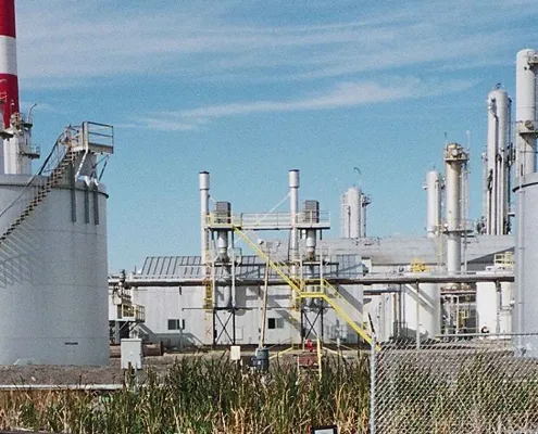 Balzac Plant Optimization